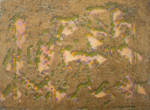 A close-up of a carpet Description automatically generated