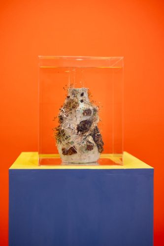 A glass container on a blue and yellow stand Description automatically generated