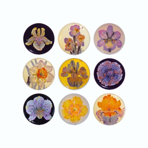 A group of round buttons with flowers painted on them Description automatically generated