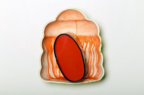 A red oval in a plastic container Description automatically generated