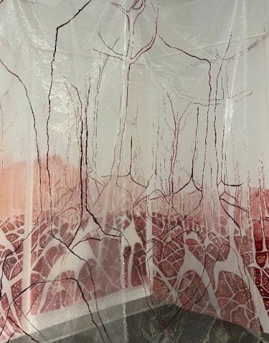 A transparent curtain with red and white design Description automatically generated
