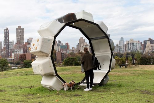 A person standing in a grass field with a dog and a large object Description automatically generated