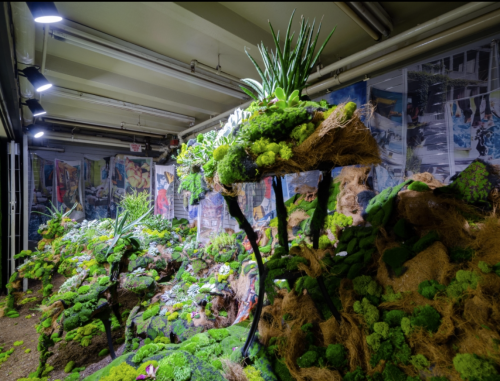 A green plants in a room Description automatically generated