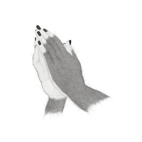 A pair of hands with black and white nails Description automatically generated