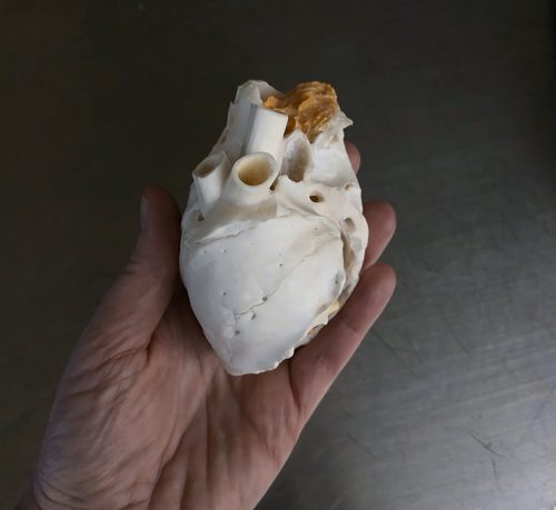 Vanitas - Removable "heart"