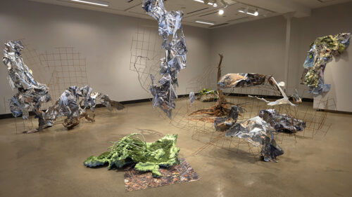 Bonny-Leibowitz-_-Adventures-In-Plunderland