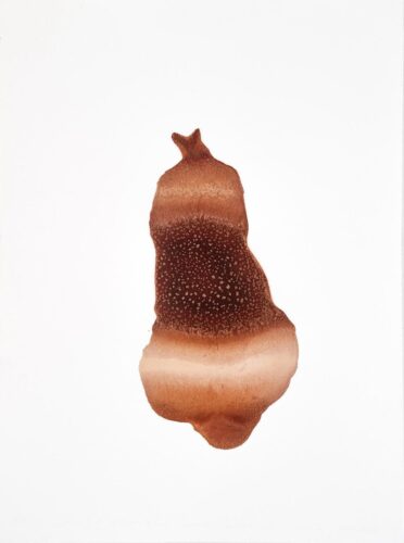 Natalie Moore, Salton Sea