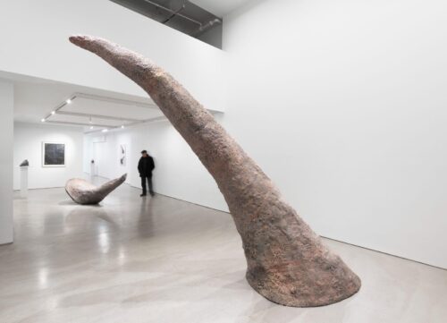 Mia Westerlund Roosen: Then and Now