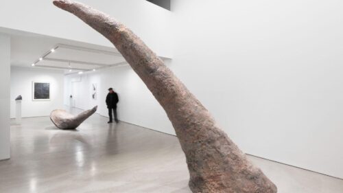 Mia Westerlund Roosen: Then and Now