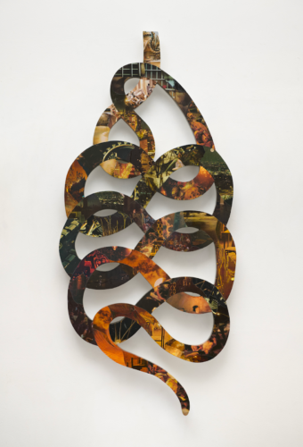Slithering Ruin, Rochelle Voyles