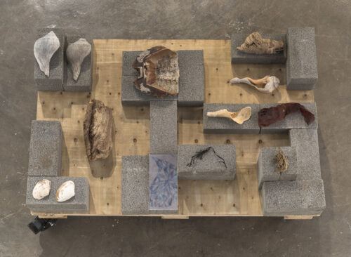 Keren Anavy, Extraterritoriality (detail)