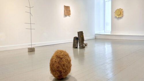 Installation view: When I Stopped in Feldwood: Jeff Feld at Marquee Projects