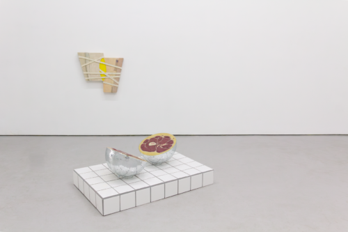 Installation View of I Want to Know
