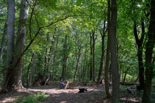 Deirdre Murphy painting in the woods
