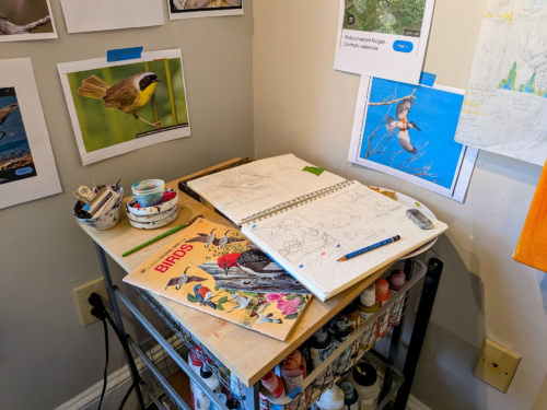 Deirdre Murphy’s Studio