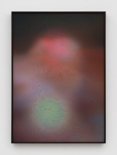 Rosha Yaghmai, Afterimage, Root