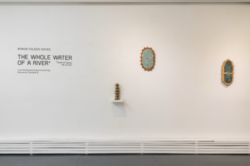 Byron Toledo, The Whole Water of a River, installation view, photo courtesy of Tiger Strike Asteroids NY