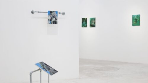 Diego Azzola, Huang Zhe, Installation view of He Spoke To The Birds