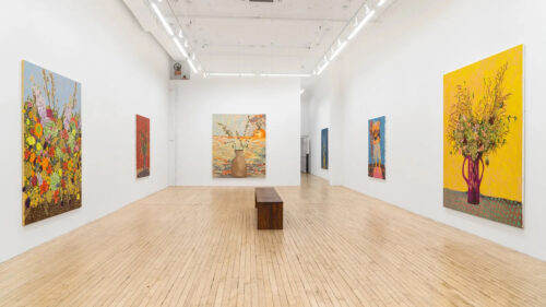 Blair Saxon-Hill, Installation View