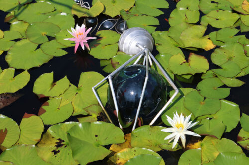Daniel Rothbart's Serpentine Sibyls, curated by Melissa West