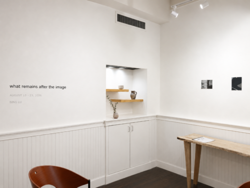 Bing Lu’s solo exhibition, “what remains after the image,” at Gallery 60 NYC