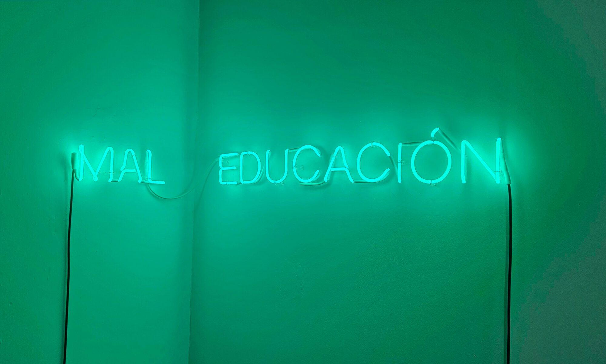 Anne Katrine Senstad, MAL EDUCACIÓN