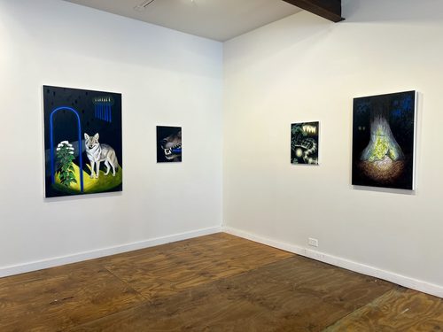 Melissa Murray, 1053 gallery install (Light Lives as an Animal
