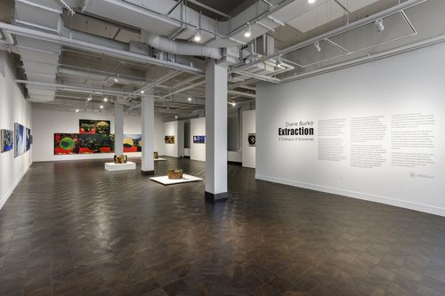 Diane Burko, Extraction, A Dialogue of Extremes, Installation Featured Image