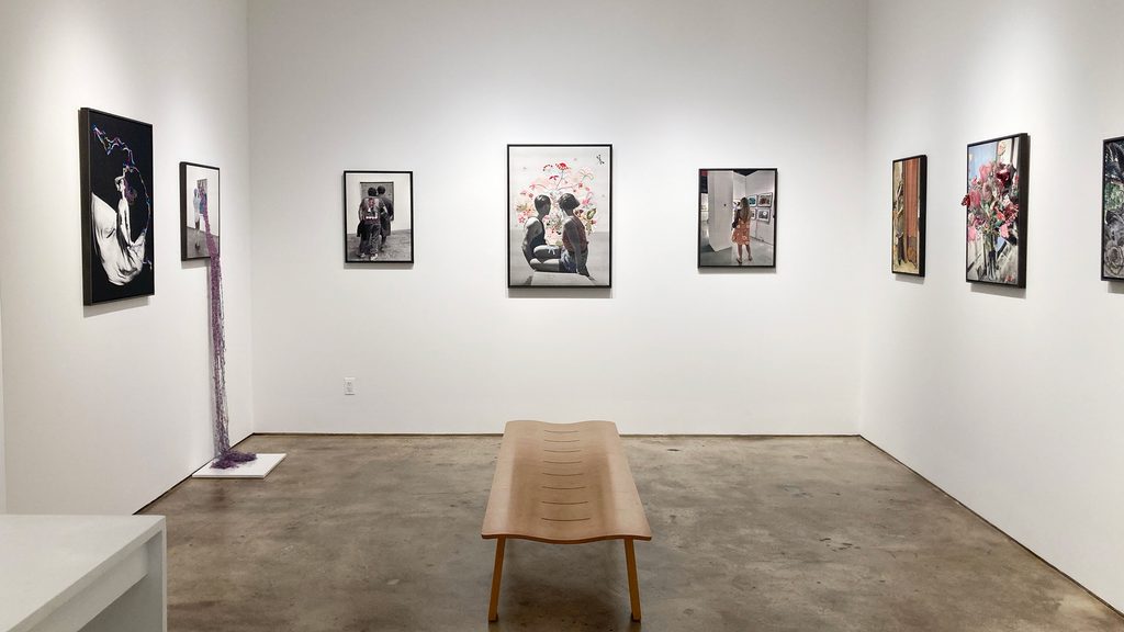 Orly Cogan, installation view, photo by Daniel Menzo