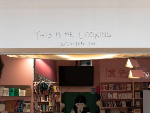 Wen-You Cai, installation view of This is Me Looking