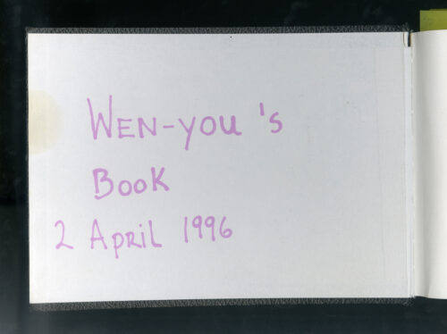 Wen-You Cai, Journal Album Cover