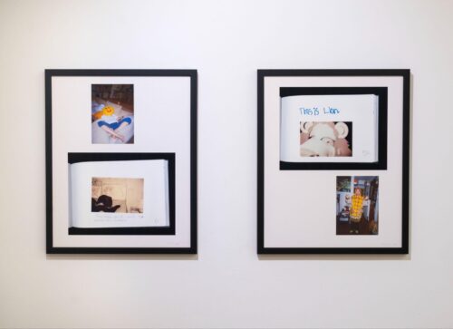 Wen-You Cai, Installation view of This is Me Looking