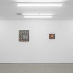 Ziyi Zhang, Installation view of PIXEL//FLESH