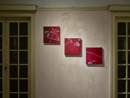 Angela Lyn, in the red of life I, II, III