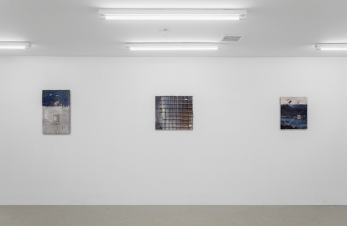 Zhang Ziyi, Installation view of PIXEL//FLESH