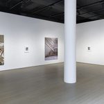Asher Liftin, Installation View