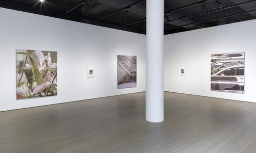 Asher Liftin, Installation View